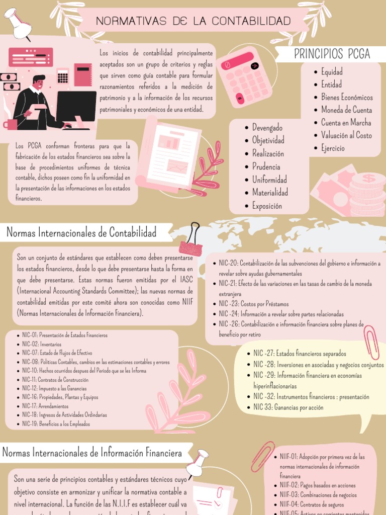 Normas y Principios de Contabilidad | PDF | normas internacionales de ...