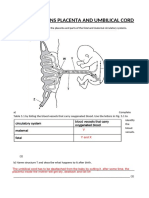 Igcse Questions Placenta and Umbilical Cord