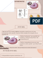 Kelompok 7 - Inti Sel & Kromosom