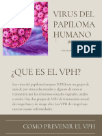 Virus Del Papiloma Humano VPH