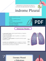 Sindrome Pleural