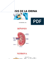 Examen General de Orina Parte 1