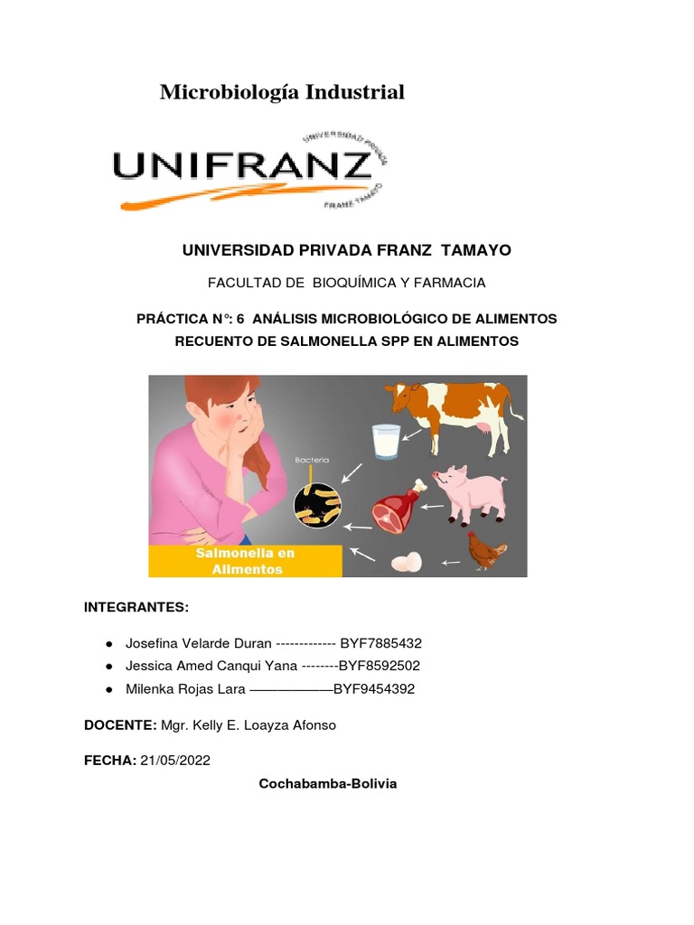 PRACTICA 5 Salmonella PDF Salmonela Microbiología