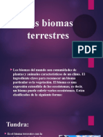 Biomas terrestres: clasificación y características principales