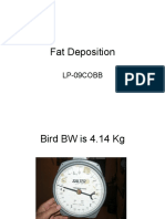 Fat Deposition LP 