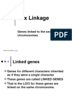 Sex Linkage: Genes Linked To The Sex Chromosomes