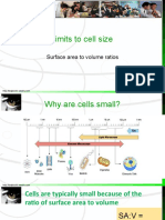 Limits To Cell Size: Surface Area To Volume Ratios