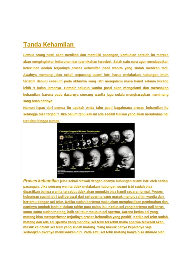 Proses Kehamilan | PDF