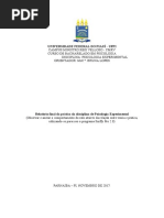 Manual do Experimento Sniffy-Pro 2.0 | PDF
