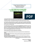 TP 3 Biología - El Desarrollo de Plantas-CNBA2022