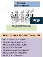 Opening Audit Internal