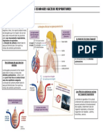 DNB Revisions Echanges Gazeux Respiratoires