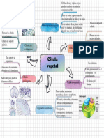 Mapa Mental de La Celula Vegetal