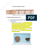 Identificación de Textura in Situ