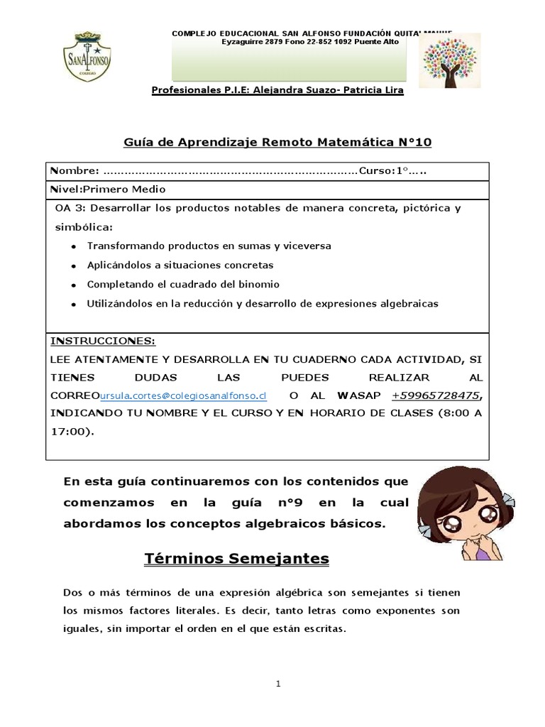 Matamatica Guia N°10 | PDF | Soporte | Matemáticas