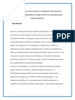 Amelogénesis: Células que forman el esmalte dental y anomalías