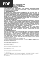 DIREITO CONSTITUCIONAL André Alencar dos Santos