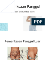 Pemeriksaan Panggul