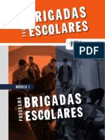 Programa Brigadas Escolares apresenta objetivos e níveis de atuação