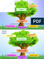 Árbol de Problema y Objetivos Examen