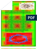 Metodo de Diagnostico Practicados Por La MTC.