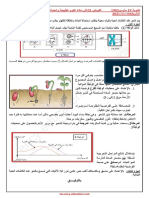 Dzexams 1as Sciences 1995955