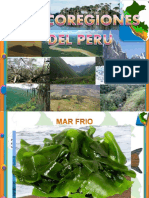 11 Ecoregiones Del Perú