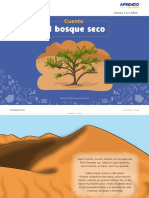 El Bosque Seco