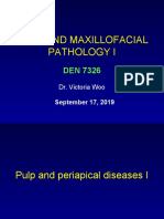 Lecture 5 - Pulp and Periapical I