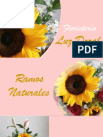 Catálogo Ramos Luz Doral Renovado