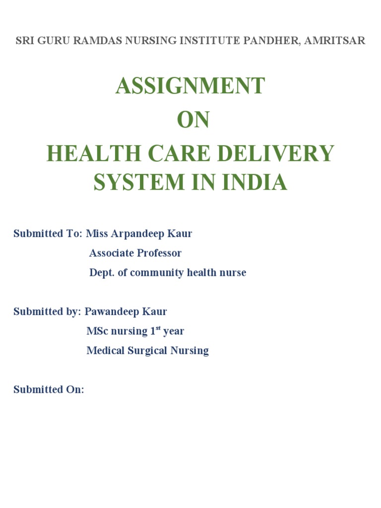 assignment on health care delivery system