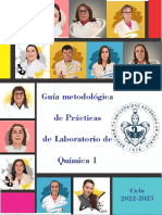 Guía Metodológica de Prácticas de Química I