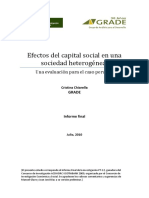 Efectos Capital Social