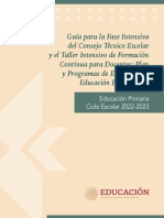 Guía CTE Primaria Fase Intensiva 2022-2023