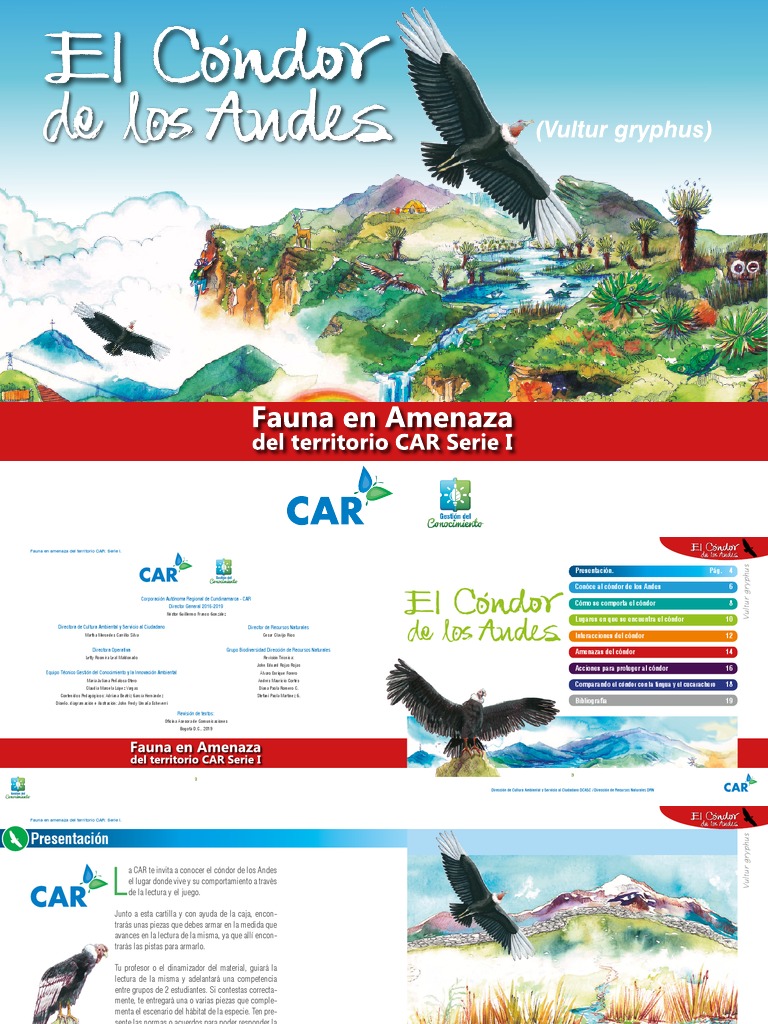 Amenazas y Hábitat del Cóndor Andino | PDF | Especie en peligro | Aves