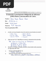 Respuestas Induccion Sercol | PDF | Valores