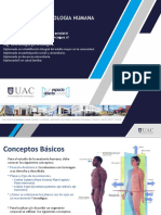 Unidad 1. Osteología Conceptos Introductorios