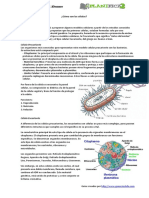 N°2 Reconocer La Estructura de Las Células Procariontes y Eucariontes