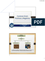 Cocáceas Gram Positivas y Negativas: Características de Micrococcaceae y Staphylococcus