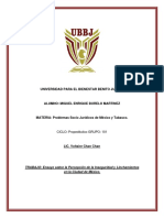 Ensayo Sobre La Percepción de La Inseguridad y Linchamientos en La Ciudad de México