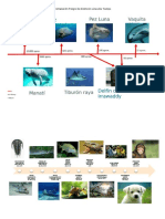 Animales en Peligro de Extinción Línea de Tiempo