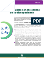 Causas discapacidad