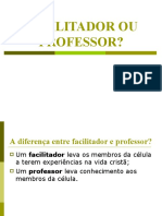 Facilitador Ou Professor