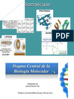 Estructura y función de las biomoléculas