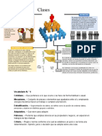 Clases Sociales