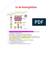 3 Síntesis de Hemoglobina