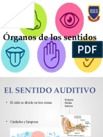 Organos de Los Sentidos