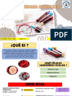 PDF Hemograma