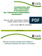 Cyclin D1 Over Expression and p53 Inactivation Immortalize Primary Oral Keratinocytes by a Telomerase-Independent Mechanism