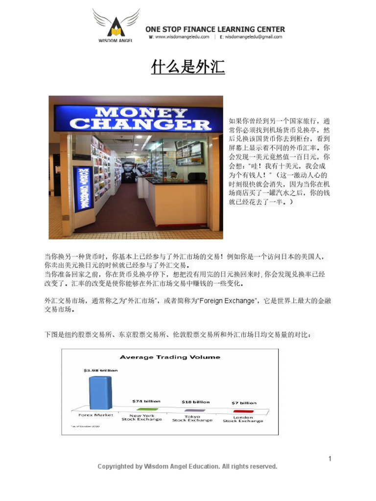 第1课什么是外汇| PDF